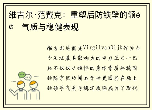 维吉尔·范戴克：重塑后防铁壁的领袖气质与稳健表现